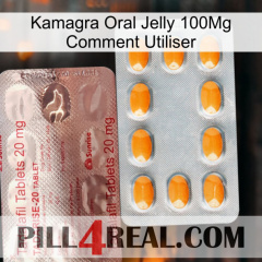 Kamagra Oral Jelly 100Mg How To Use new13